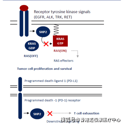 ＂WW777766香港開獎(jiǎng)記錄查詢2023＂的：深入探討方案策略_實(shí)驗(yàn)版3.98