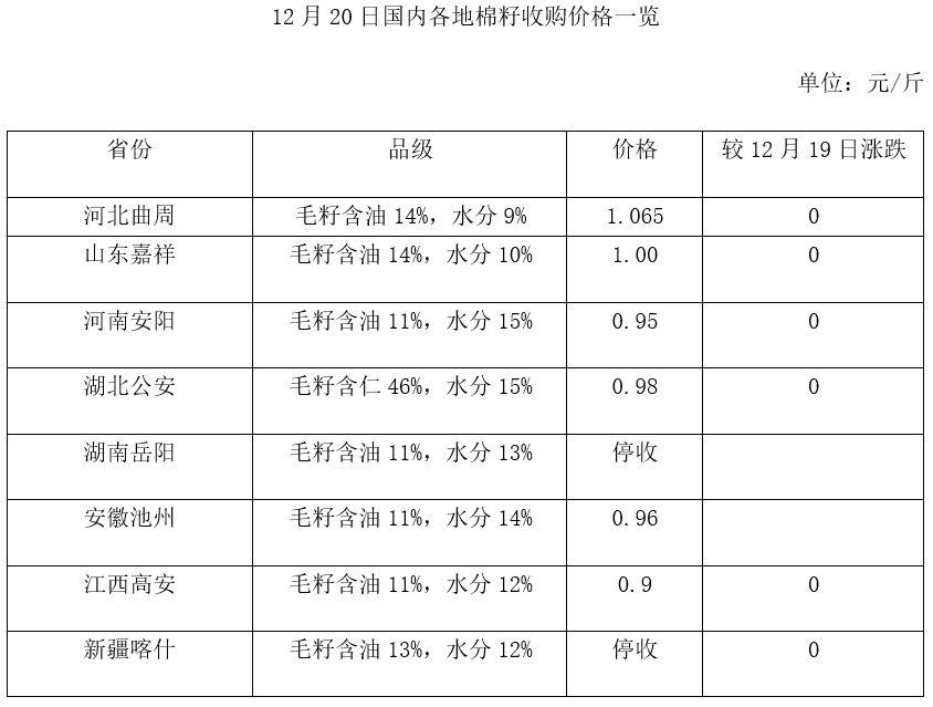 短絨行情深度解析與探析