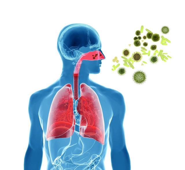 新型病毒主要癥狀探究，探索病毒影響的主要表現(xiàn)