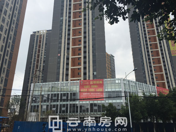 昆明名旺角最新資訊全攻略，資訊獲取指南與動態(tài)速遞